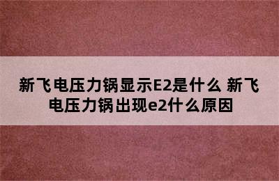 新飞电压力锅显示E2是什么 新飞电压力锅出现e2什么原因